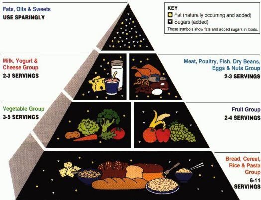 2018 US Food Pyramid