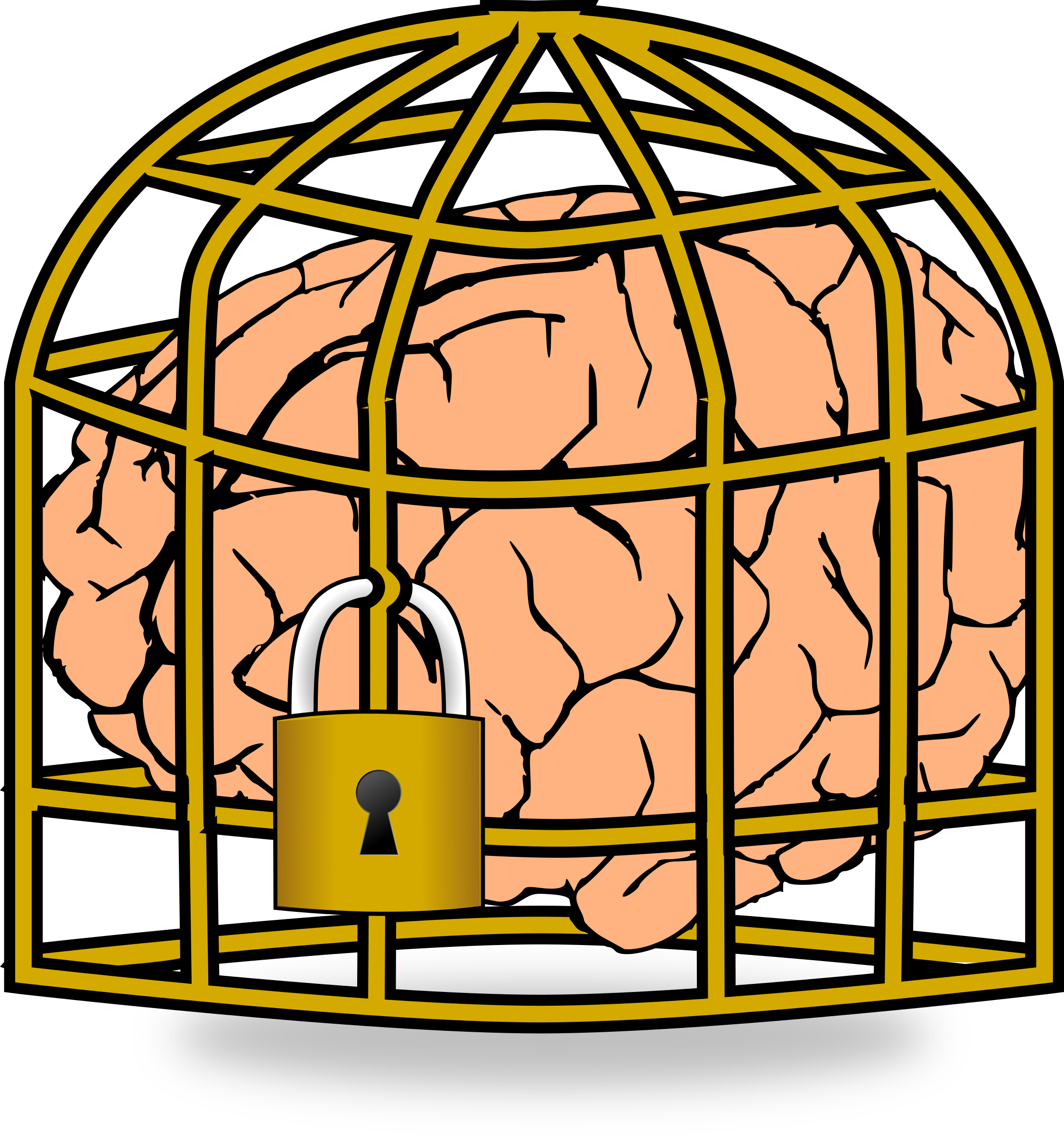 Breaking free from the confines of the mind… is this what insanity is like?